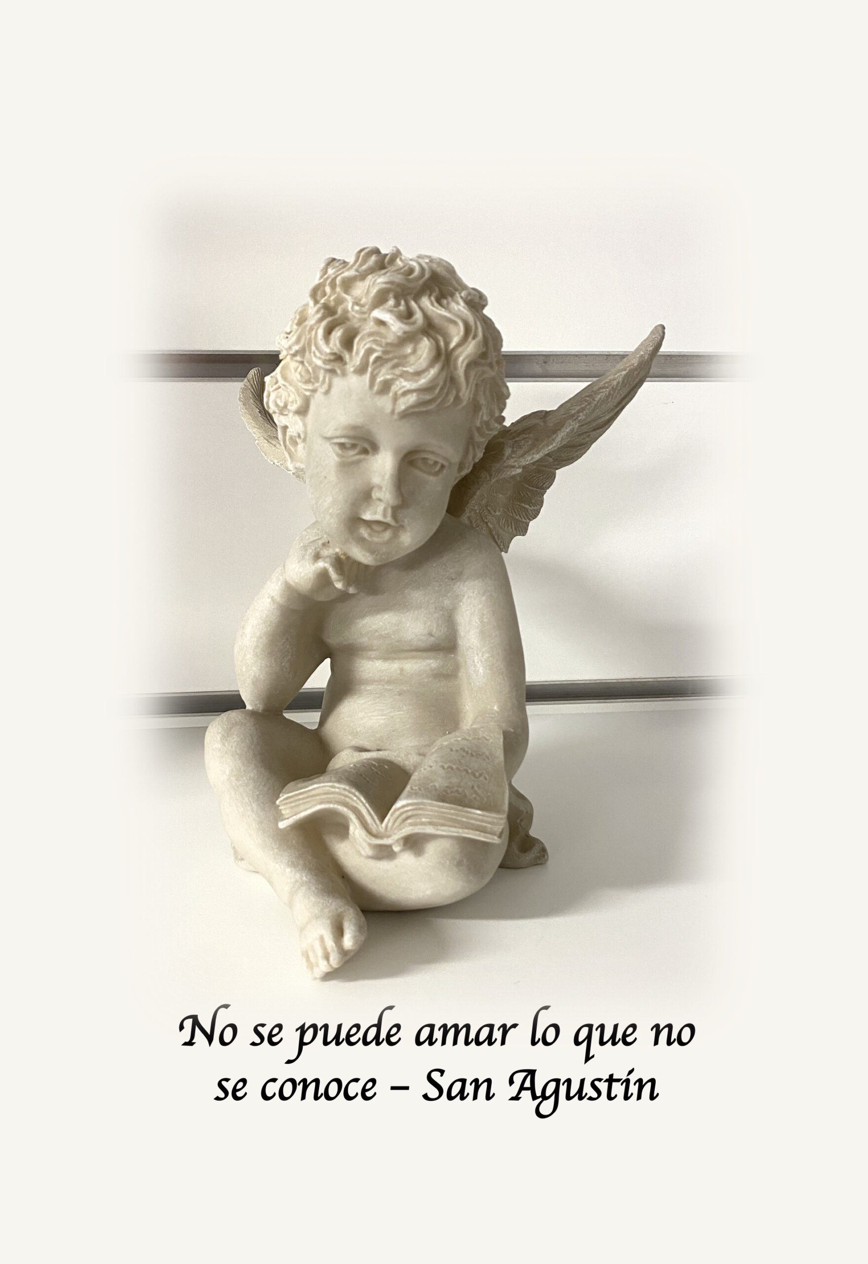 Ángel lector